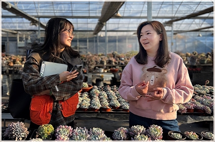 泰隆创业助跑计划